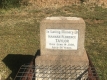 35 Hannah Florence (Newham) Taylor d.1920